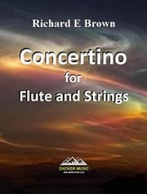 Concertino for Flute and Strings Orchestra sheet music cover